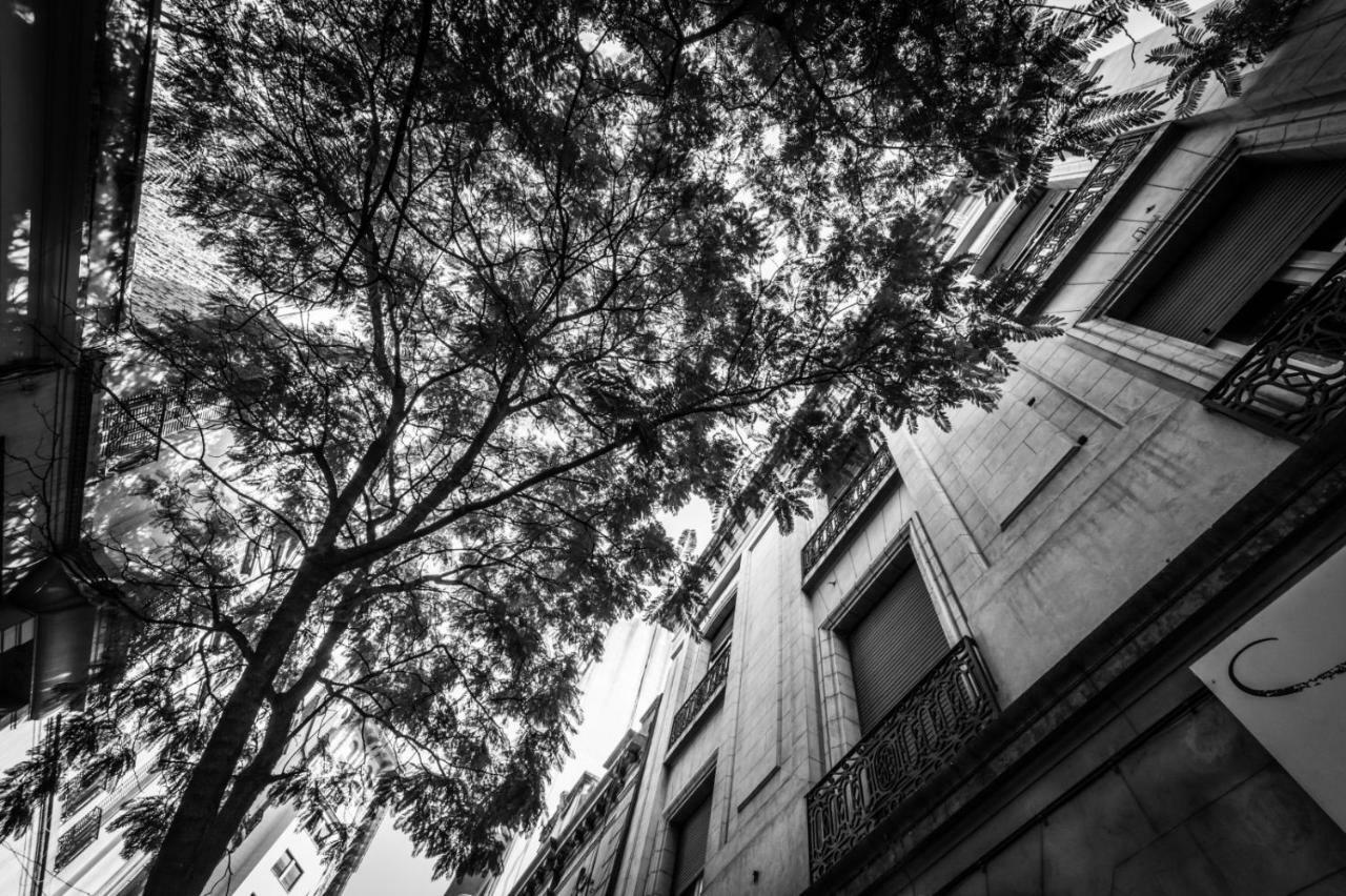 Sacha Mistol Art Hotel قرطبة المظهر الخارجي الصورة